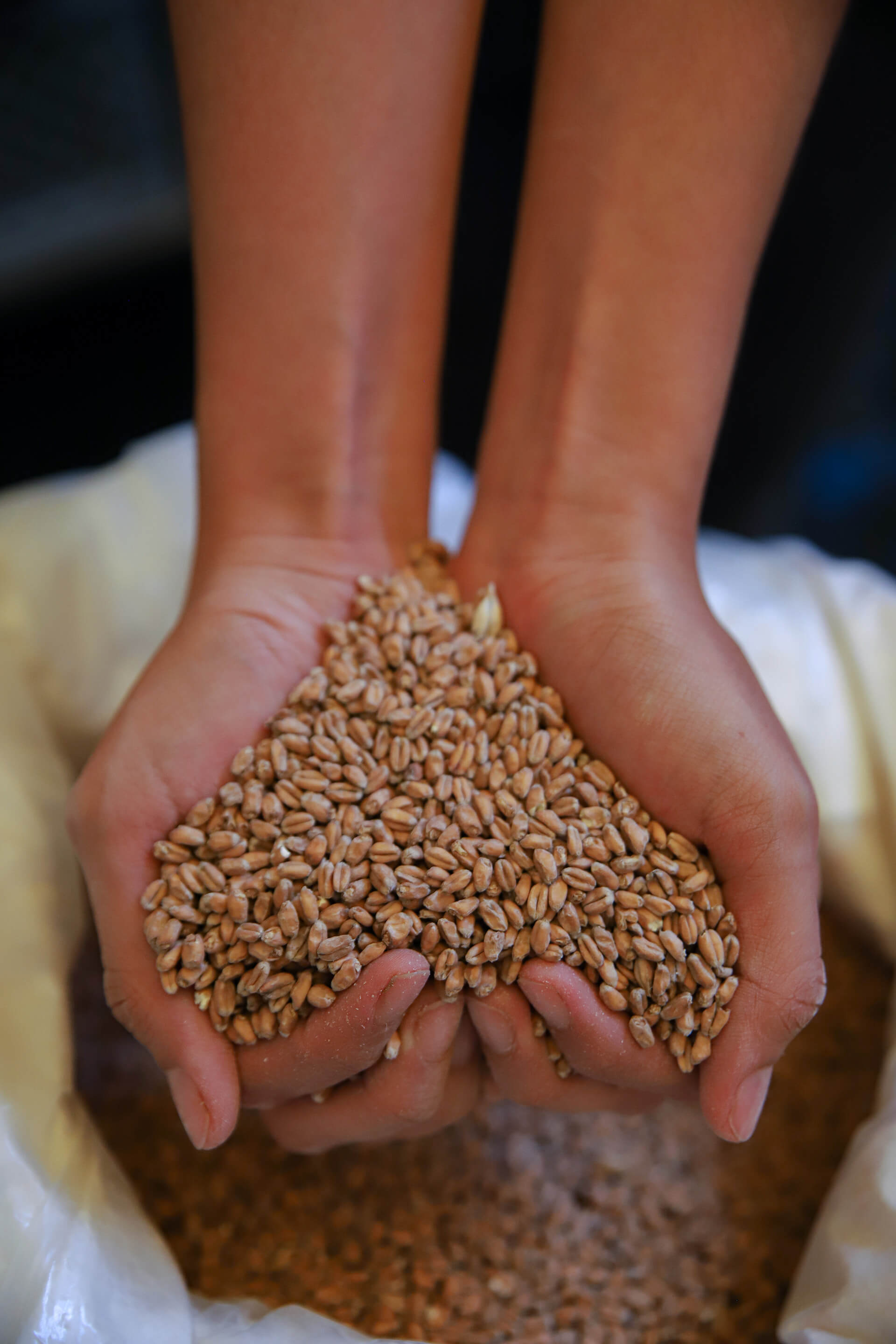 Expansión Productiva